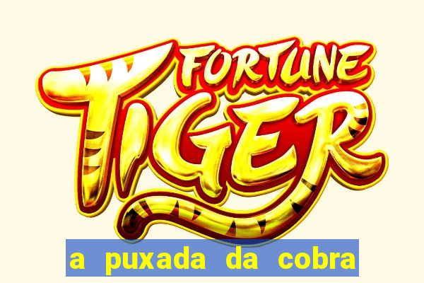 a puxada da cobra no jogo do bicho