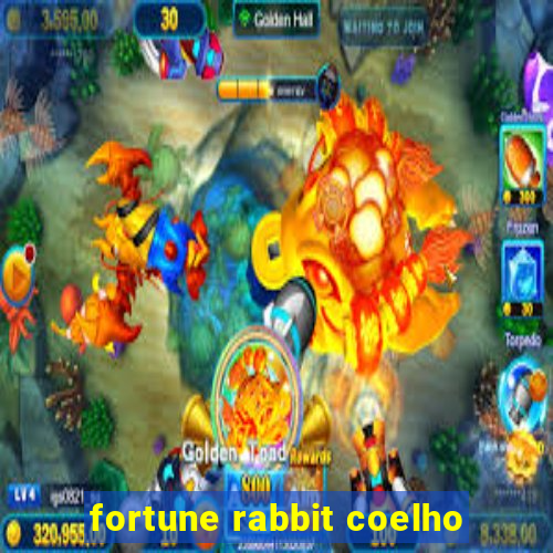 fortune rabbit coelho