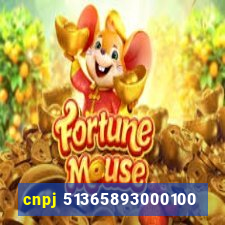 cnpj 51365893000100