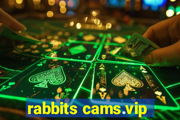 rabbits cams.vip