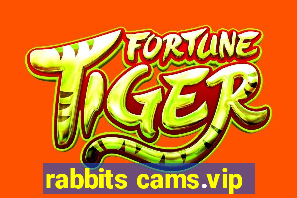 rabbits cams.vip