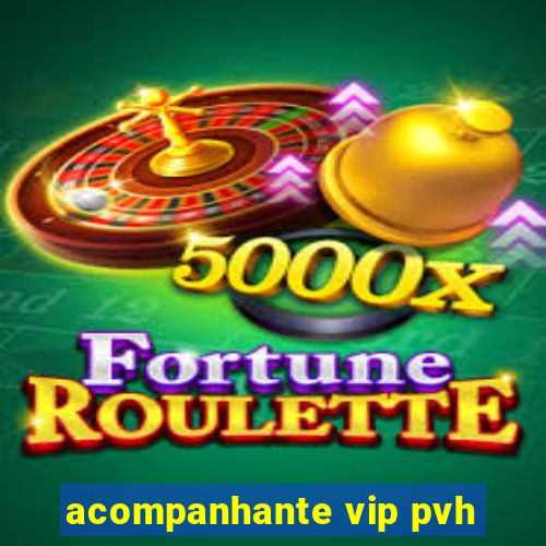 acompanhante vip pvh