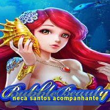 neca santos acompanhante