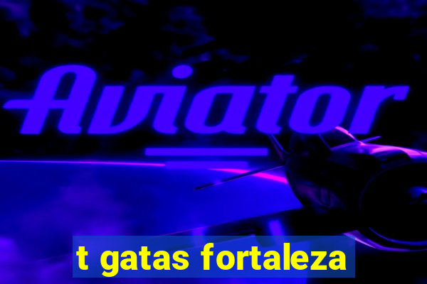 t gatas fortaleza