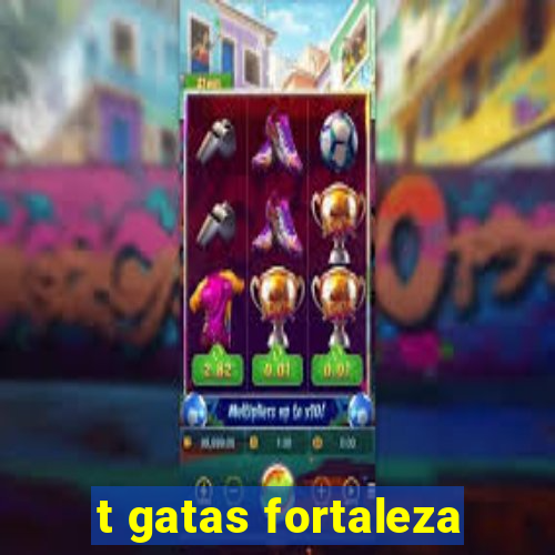 t gatas fortaleza