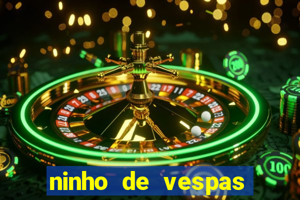 ninho de vespas significado espiritual