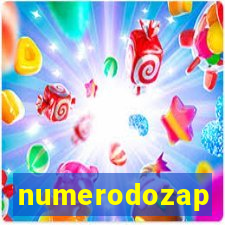 numerodozap