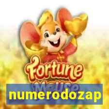 numerodozap