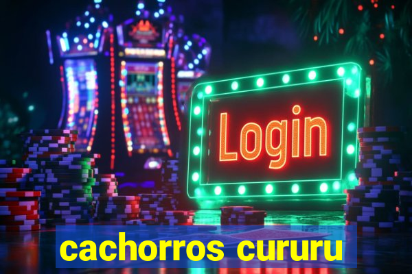 cachorros cururu