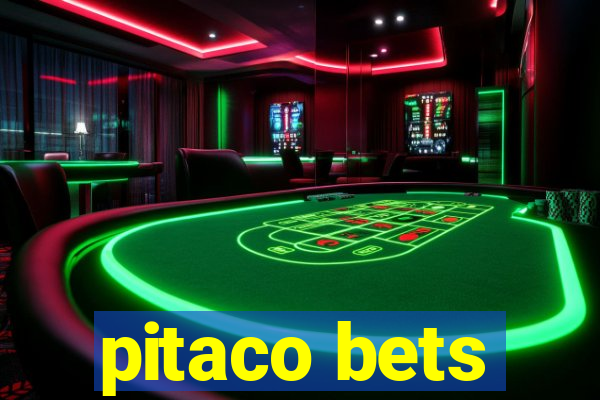 pitaco bets