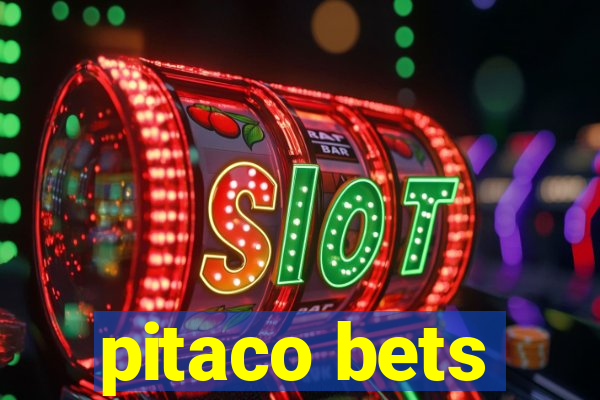 pitaco bets