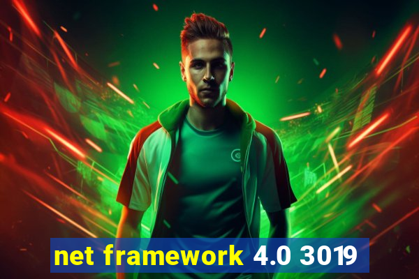 net framework 4.0 3019