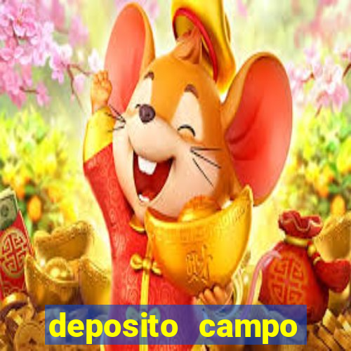 deposito campo grande santos