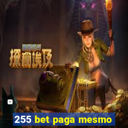 255 bet paga mesmo