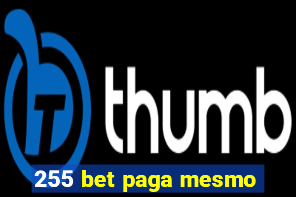 255 bet paga mesmo