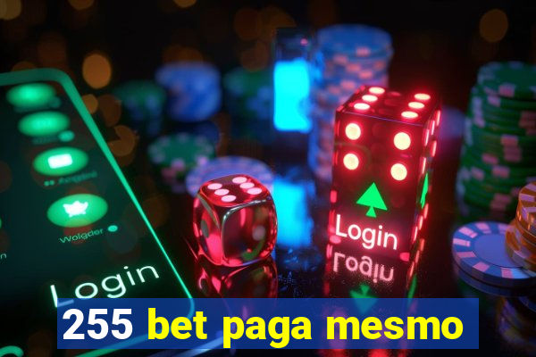 255 bet paga mesmo