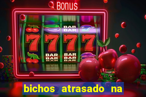 bichos atrasado na loteria dos sonhos