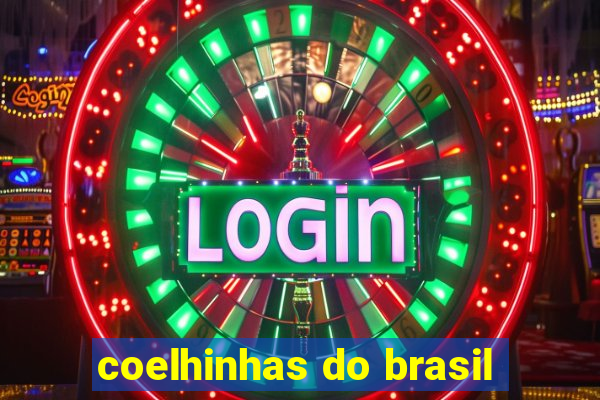 coelhinhas do brasil