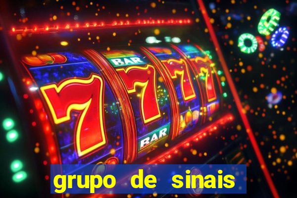 grupo de sinais fortune rabbit