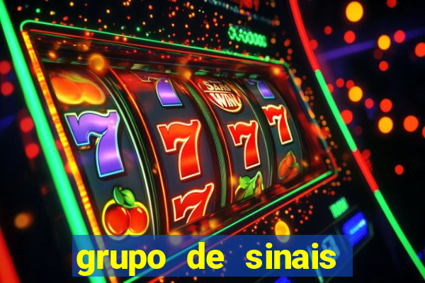 grupo de sinais fortune rabbit