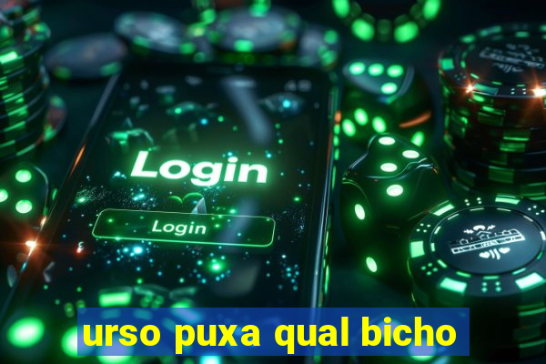 urso puxa qual bicho